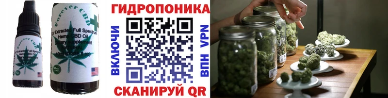 Canna-Cookies марихуана  omg   Талдом 