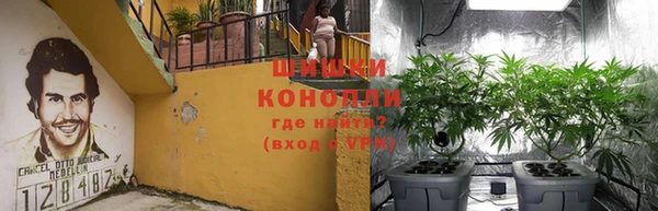 дживик Балахна