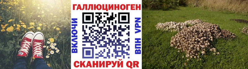 Псилоцибиновые грибы ЛСД Талдом